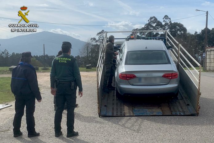 Incautan en Tui 8 kg de pulpo, 39 de lenguado, 29 de centolla, 52 de rodaballo, 33 de lubina y 20 de dorada