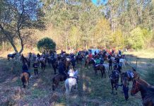 III Xuntanza Cabalar en Vilameán