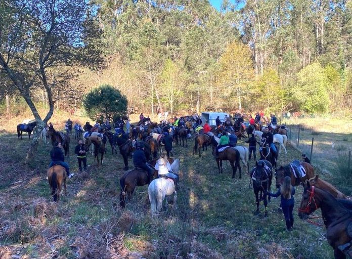 xuntanza cabalar vilamean