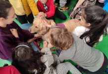 Más de 200 alumnos de Porriño participan en talleres de educación asistidos por perros de terapia