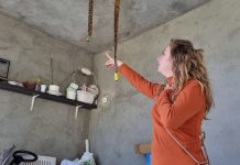 Vecinos de Tomiño en pie de guerra contra una plaga de moscas