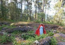 Rutas guiadas de educación ambiental en el Monte Aloia de Tui