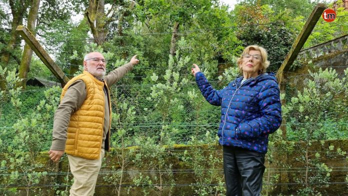 vecinos serman ratas