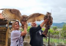 Un matrimonio de Tui continúa la pasión por las aves de su hijo fallecido