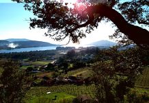Segunda jornada de “Descubrimos O Rosal, Roteiro e Viño” de Terras Gauda