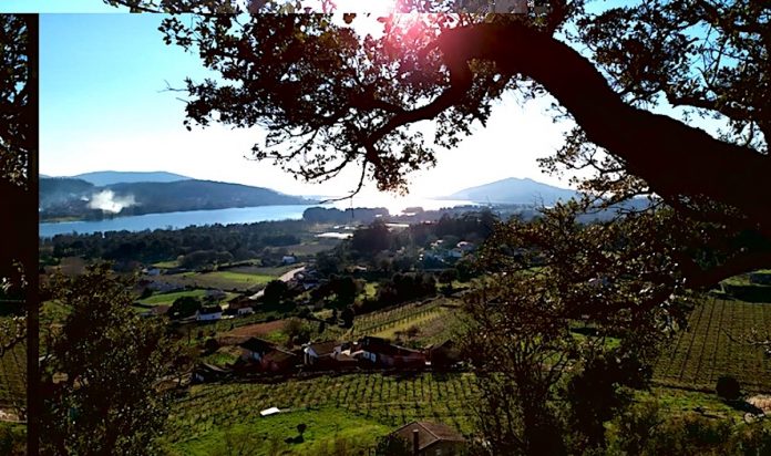 Descubrimos O Rosal_roteiro e viño