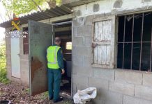 Detenido un vecino de Oia como supuesto autor de varios delitos de abandono y maltrato animal