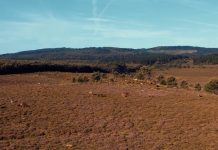 Visita guiada el sábado al Curro de A Valga