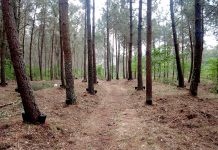 La Comunidad de Montes de Couso finalista en los FAA por su modelo de gestión