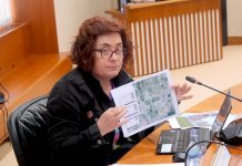 O BNG acusa a Patrimonio de “falta de transparencia” por negar a documentación ao Parlamento e Valedoría do Pobo das obras da Telleira en Nigrán