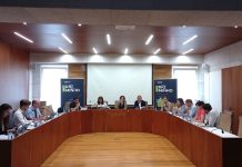 OCDE e entidades do Miño analizan solucións legais para que un único organismo Miñoto tome decisións sobre o territorio transfronteirizo