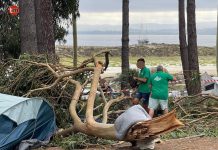 Cuatro heridos tras la caída de un árbol encima de dos tiendas de campaña en las Islas Cíes