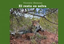 La biblioteca de Nigrán acoge la presentación de la novela ‘El resto es selva’ de Vicente Donoso