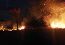Un incendio que quemó media hectárea en A Guarda empezó en tres puntos distintos
