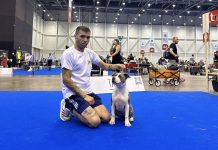 El gondomareño Iván Misa logra con su perro Rush el Campeonato del Mundo de Show Canino