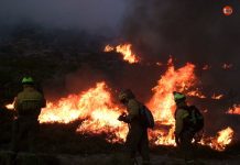 Bombeiros Forestais de Galicia se movilizan para exigir un trabajo digno todo el año