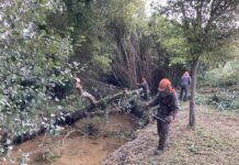Nigrán limpia el lecho urbano del río Muíños para prevenir daños de posibles riadas
