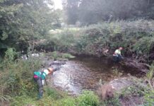 La Xunta ejecuta actuaciones de conservación y limpieza en los trechos interurbanos de los ríos Zamáns y Miñor