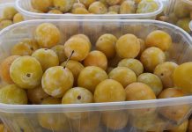 O Rosal calienta motores para la IV Feira de Produtos