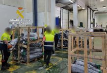 Intervienen más de 15 toneladas de pez espada sin documentación de trazabilidad
