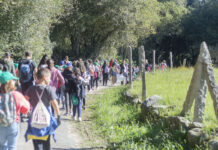 Tomiño retira casi 50 kilos de basura de los ríos Pego y Cereixo y del regato de As Cerradas
