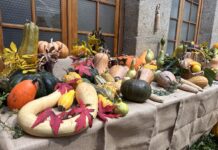 La calabaza es la protagonista del fin de semana en Tui