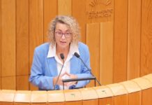 O BNG pide a implicación da Xunta para salvar os máis de cen postos de traballo de Faurecia de Porriño