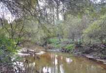 O BNG do Porriño organiza unha ruta guiada polo río Louro