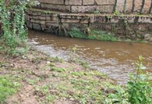 Rescatan a una joven y a su caballo del río Muíños en Nigrán