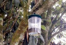 Tui entregó más de 350 trampas y 700 dosis de atrayente para luchar contra la avispa velutina