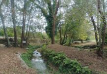 Baiona, Gondomar, Tomiño, Tui y O Rosal aspiran a recibir los galardones Flores de Honra