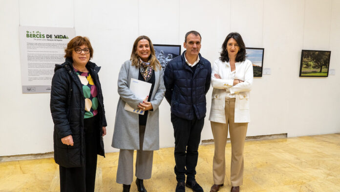 Exposición Berces de Vida Tui