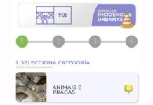 El Concello de Tui recibe mil incidencias anuales a través de la APP municipal