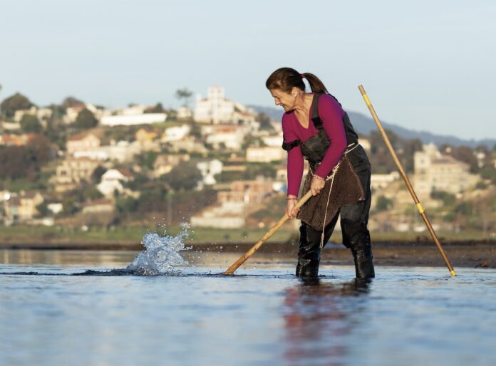 celeste calendario nigran