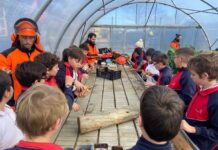 Programa pionero con alumnos de Nigrán para introducir shiitakes y robles en el futuro parque forestal