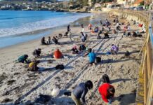 Nigrán retira pellets con la ayuda de cerca de 100 voluntarios en A Madorra