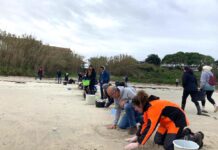Nigrán convoca para este lunes por la tarde una limpieza de pellets en Patos y Prado