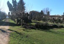 C21 solicita la inmediata recogida de los restos de podas en los jardines de la Alameda
