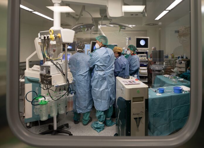 transplante de organos
