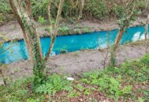 Somos Nigrán exige responsabilidades por el vertido ocurrido en el Río Muiños