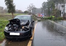 Un árbol se cae sobre un coche en marcha Tomiño