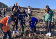 Escolares de Camos y Chandebrito plantan especies autóctonas