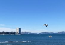 Aberto o prazo de presentación de solicitudes para a convocatoria de 2024 do GALP Ría de Vigo-A Guarda