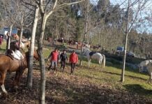 IV Xuntanza Cabalar en Goián
