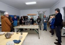 O Rosal y Anabam se unen para proteger los nidos de golondrinas en O Baixo Miño