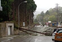 Nelson deja vientos de más de 122 km/h, lluvias intensas y numerosas incidencias