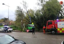 Un árbol de grandes dimensiones cae sobre el tendido eléctrico y telefónico en Nigrán