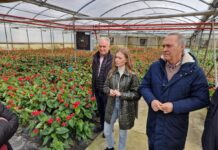 Dos viveros de Tomiño reciben ayudas de la Xunta para el apoyo a las inversiones en explotaciones agrarias