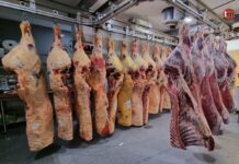 Ya está a la venta carne de vaca y ternera gallega en Talho dos Galegos de Valença