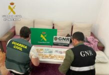Desarticulan un grupo criminal itinerante responsable de la comisión de más de 100 robos con fuerza en viviendas